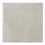 BIATAIN ALGINATE 15X15CM 10PZ  