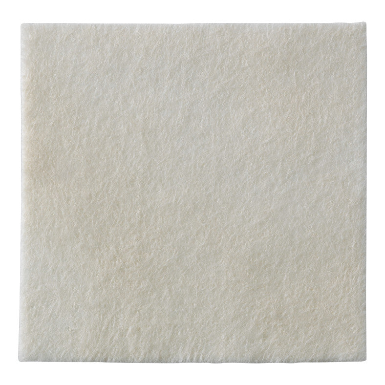 BIATAIN ALGINATE 10X10CM 10PZ  