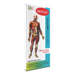 CEROTTO MOTTO 5X15CM 2PZ  