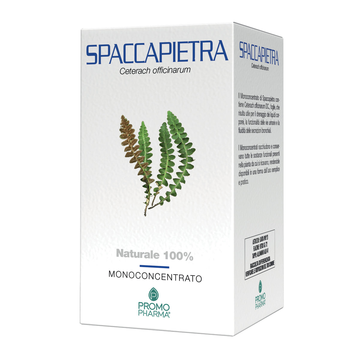 SPACCAPIETRA 50CPS  
