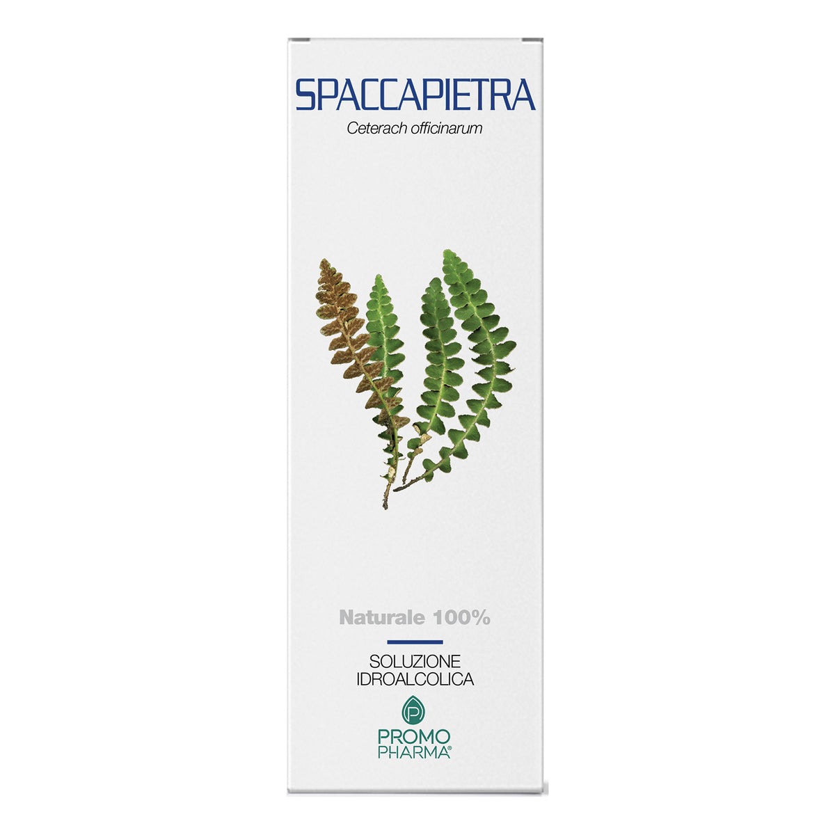 SPACCAPIETRA SOMMITA TT 100G  