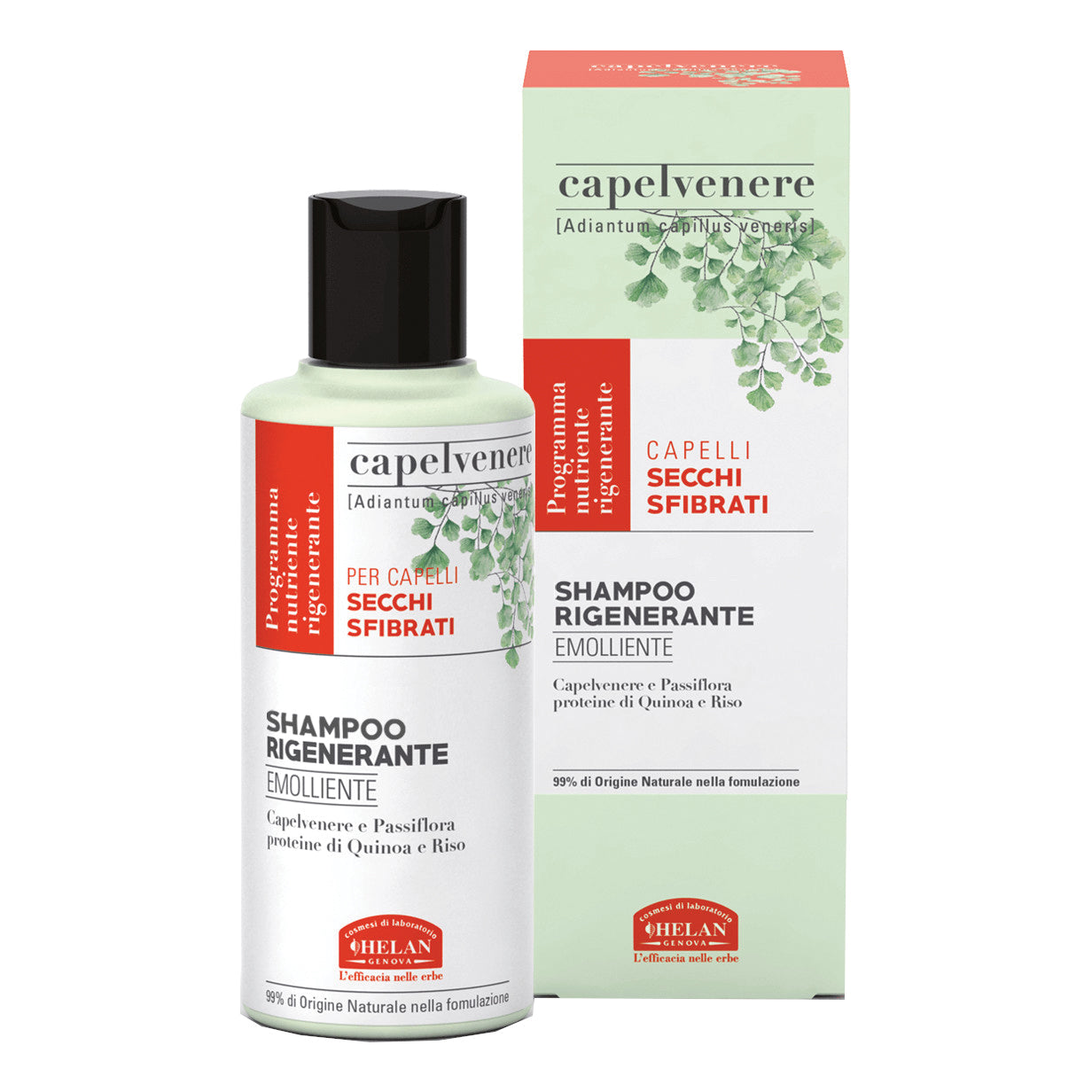 CAPELVENERE BIOSHAMPOO RIGEN