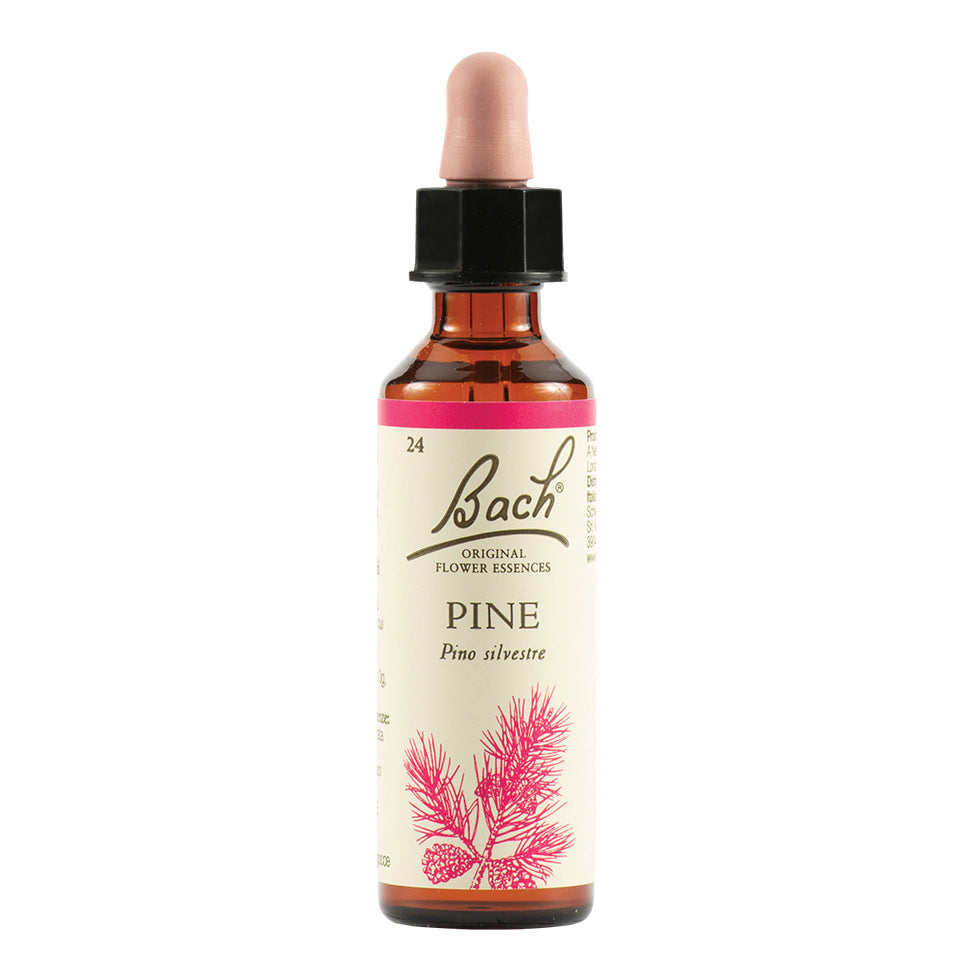 PINE BACH ORIG 20ML