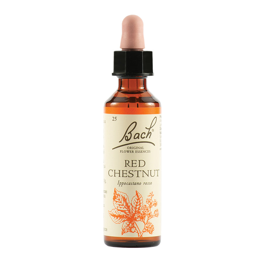 RED CHESTNUT BACH ORIG 20ML  