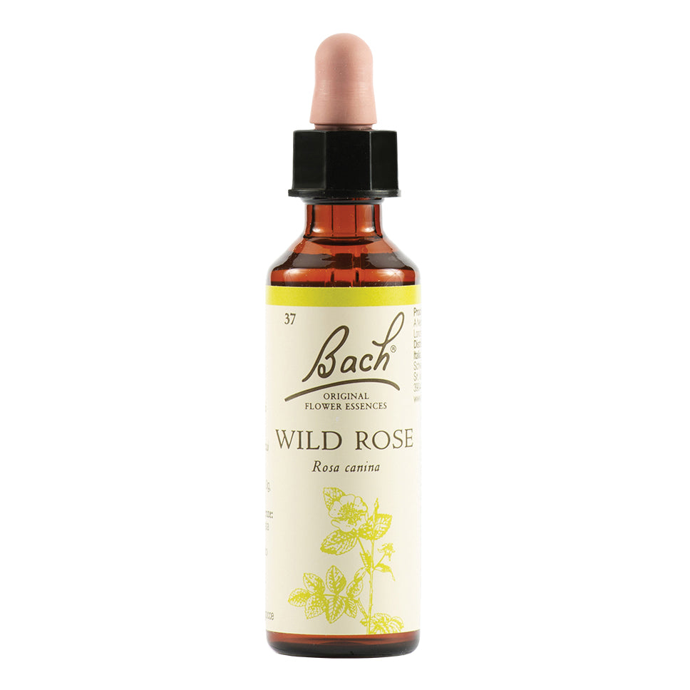WILD ROSE BACH ORIG 20ML