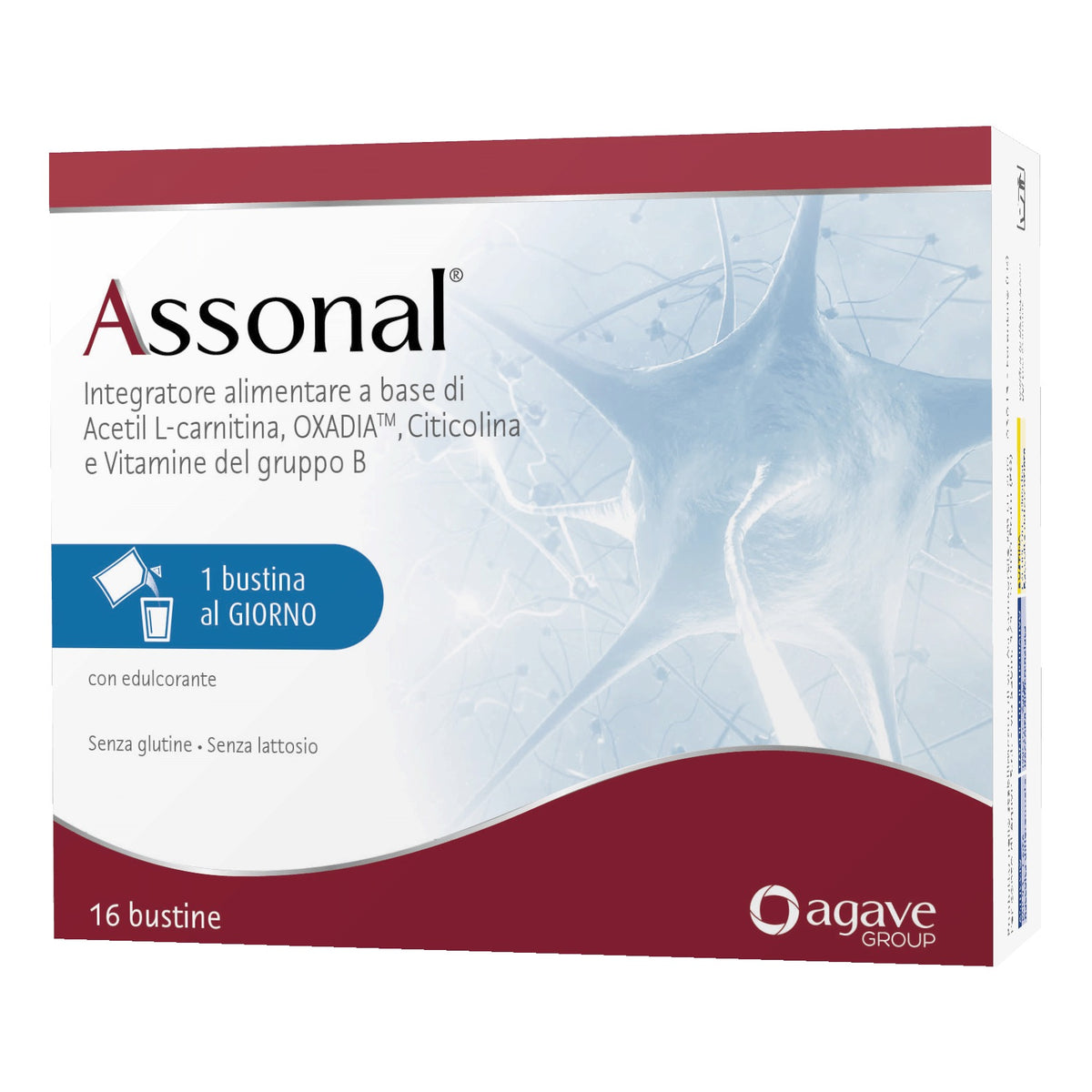 Assonal | Acetil L-Carnitina Citicolina Sistema Nervoso
