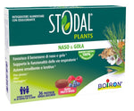 STODAL PLANTS FRUTTI RO 36PAST  