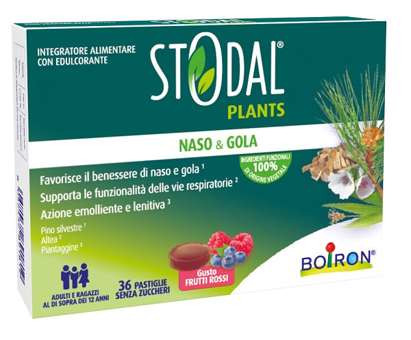 STODAL PLANTS FRUTTI RO 36PAST
