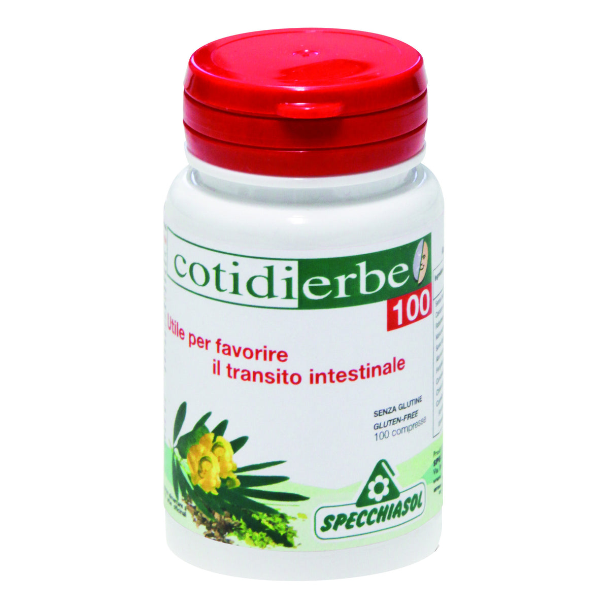 COTIDIERBE 100G  