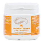 XANTANO GOMMA 200G  