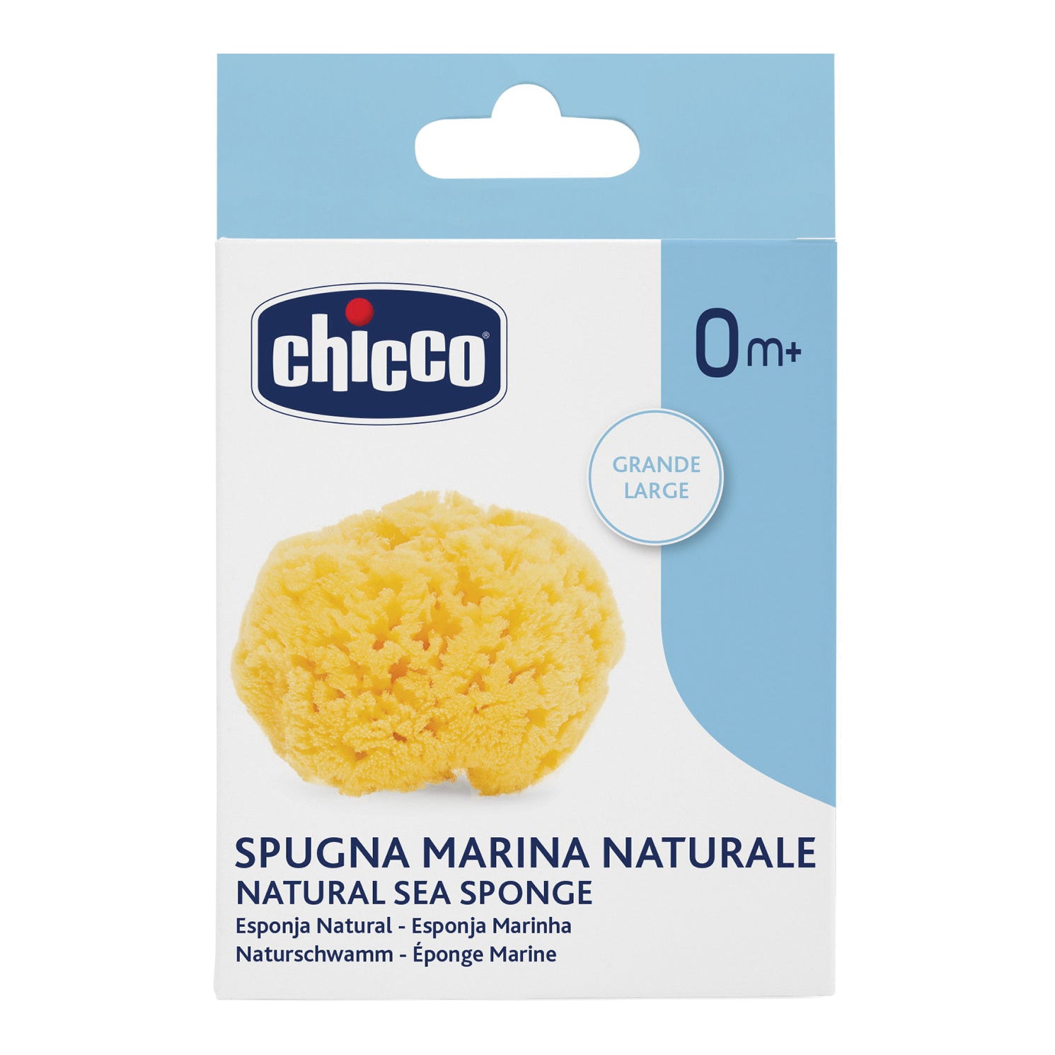 CH SPUGNA GRANDE IGIENE SICURA
