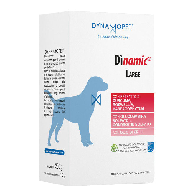 DINAMIC LARGE 20BUST 10G
