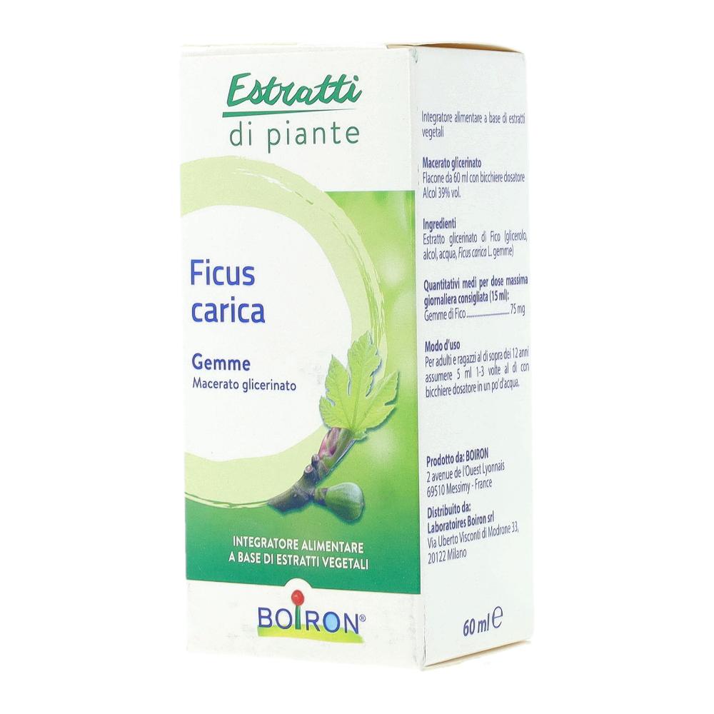 FICUS CARICA BOIRON MG 60ML