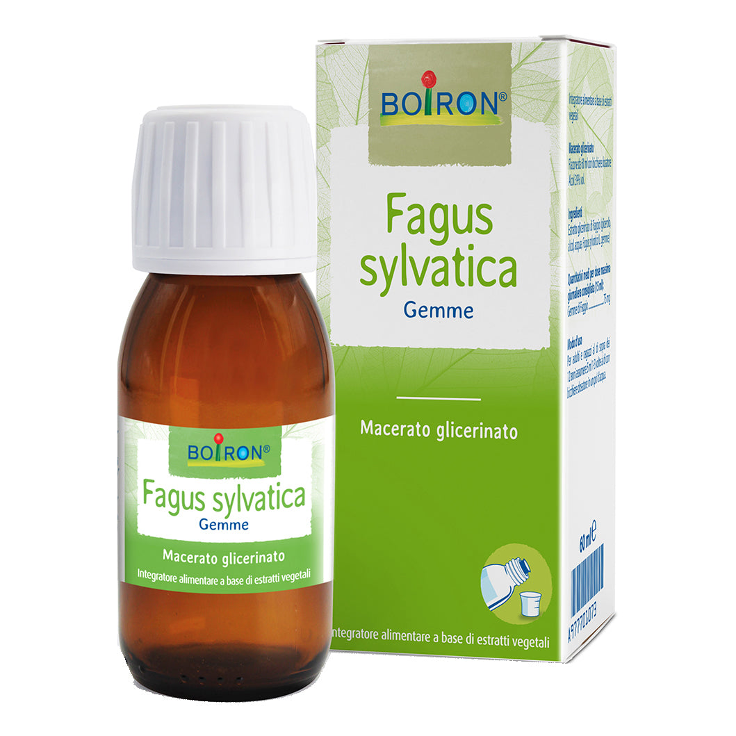 FAGUS SYLVATICA BOIRON MG 60ML
