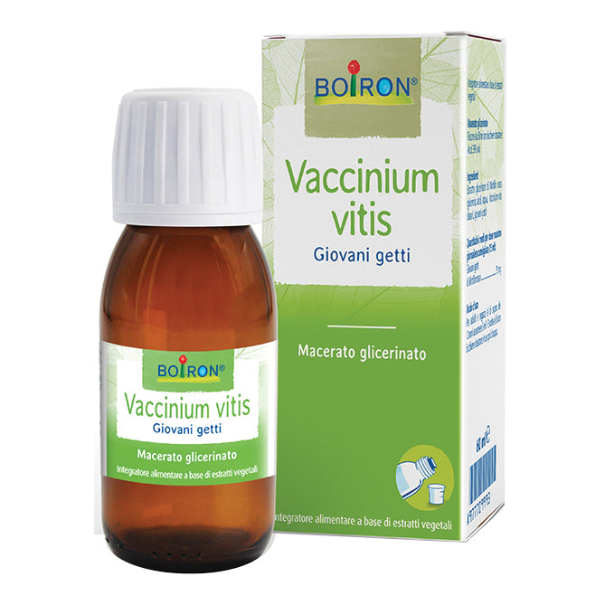 VACCINIUM VITIS MG 60ML

