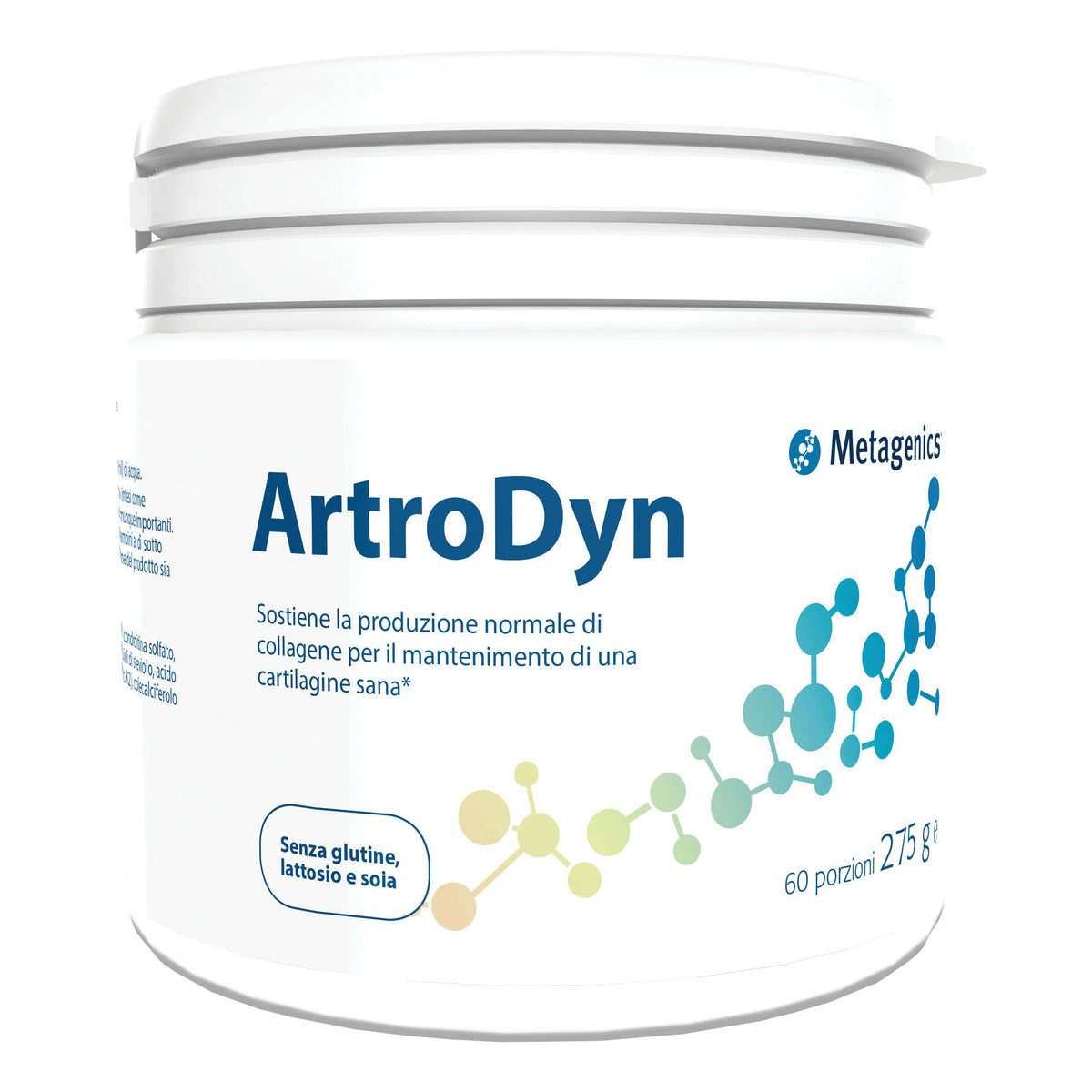 ARTRODYN 60 PORZIONI 275G  