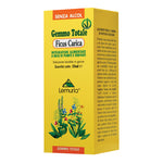 FICUS CARICA 100ML  