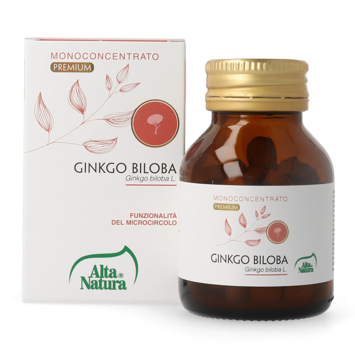 GINKGO BILOBA 100CPR 900MG  