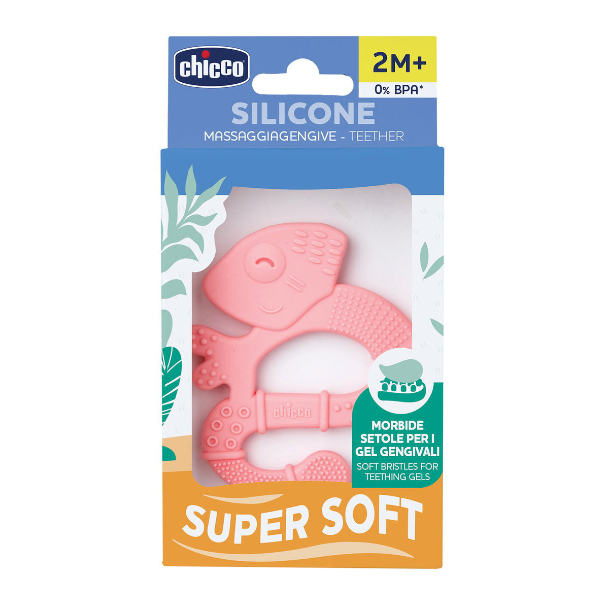 CH MASSAGGIA DENTAR GIRL 2M+  