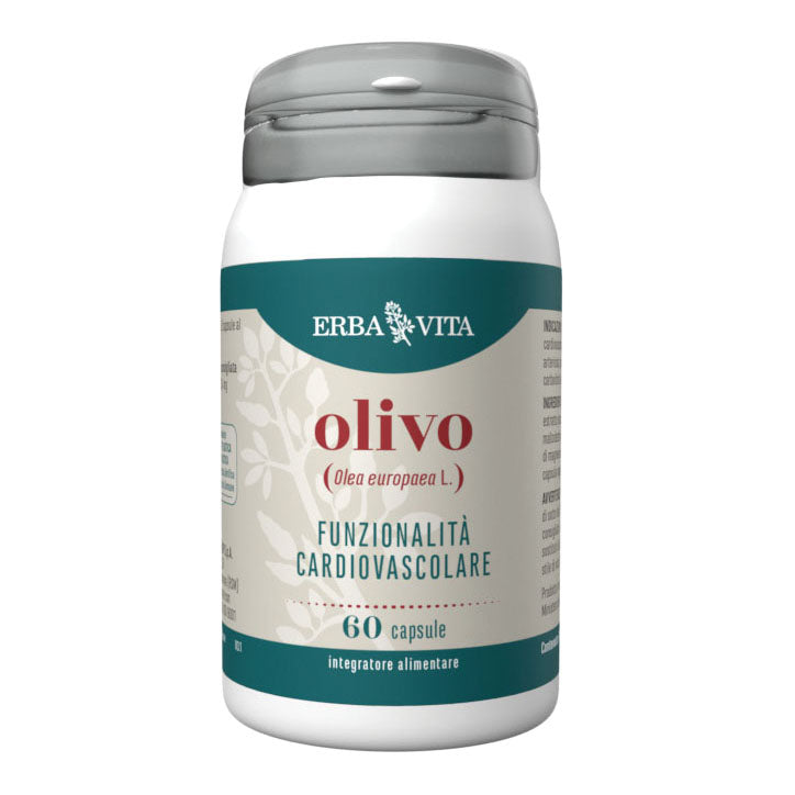 OLIVO 60CPS
