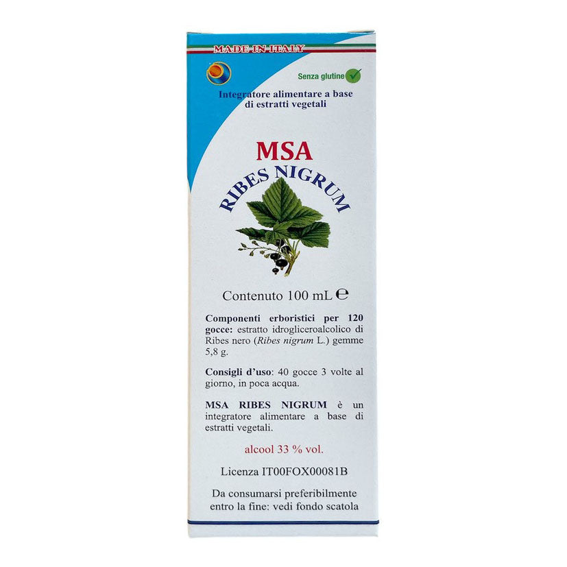 MSA RIBES NIGRUM 100ML