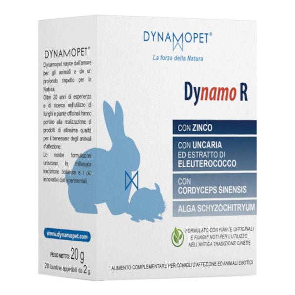 DYNAMO R 20BUST 2G  