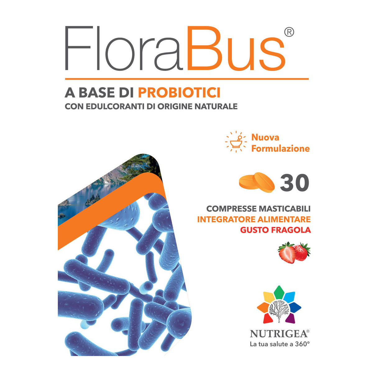 FLORABUS 30CPR MASTIC  