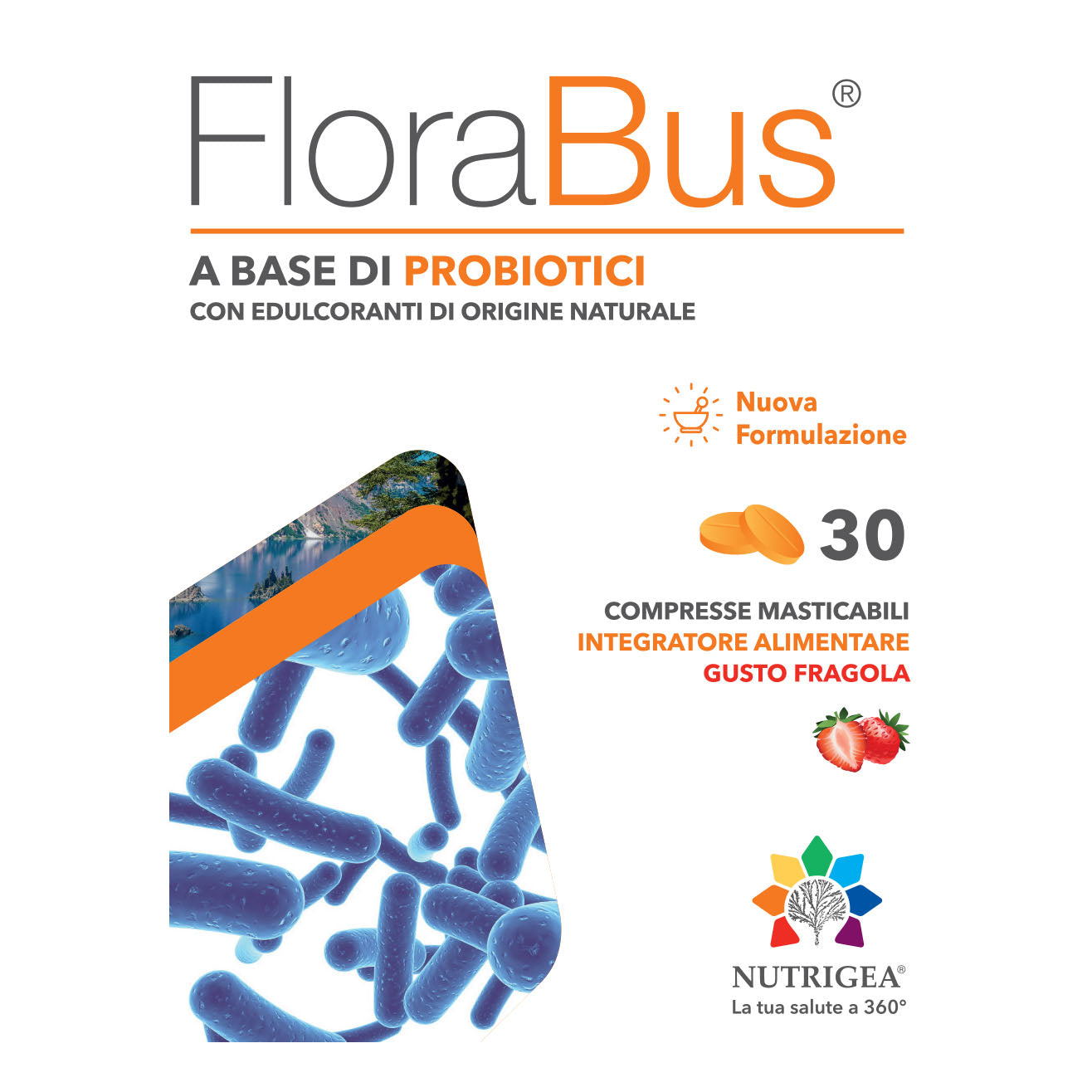 FLORABUS 30CPR MASTIC