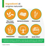 Armolipid Plus | Integratore Colesterolo con Monacolina K e Berberina | 30 Compresse 4 