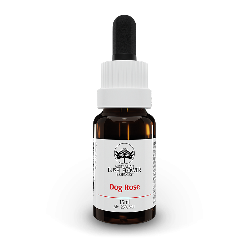 Australian Bush Flower Dog Rose | Essenza Floreale Singola | 15 ml  