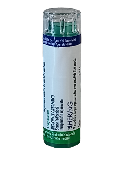 ARNICA MONTANA*9CH 120GR 6G  