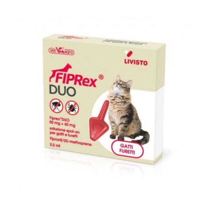FIPREX DUO*1PIP GATTI/FURETTI
