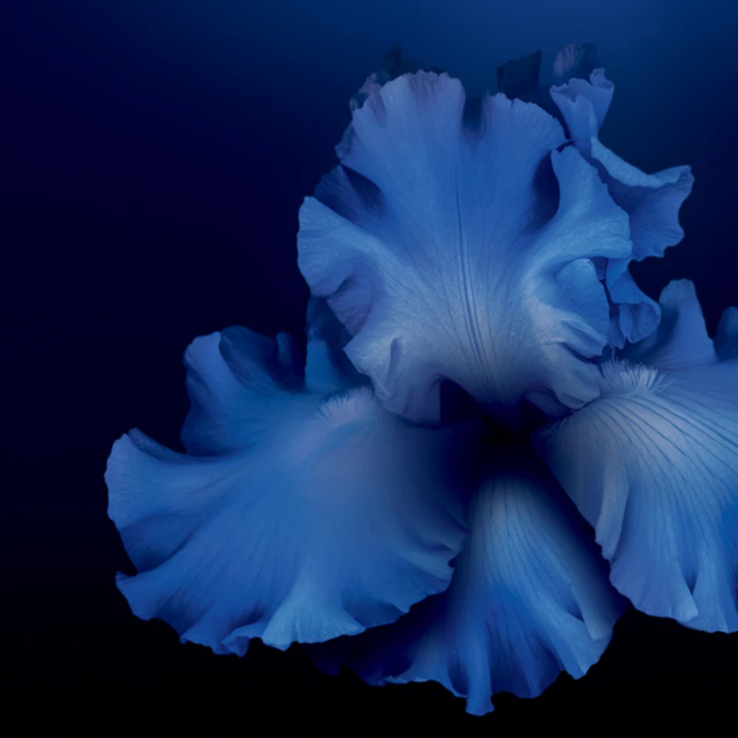 Orlane B21 Extraordinaire Soin Cou Et Décolleté | Crema Collo e Décolleté Anti-Età | 50ml