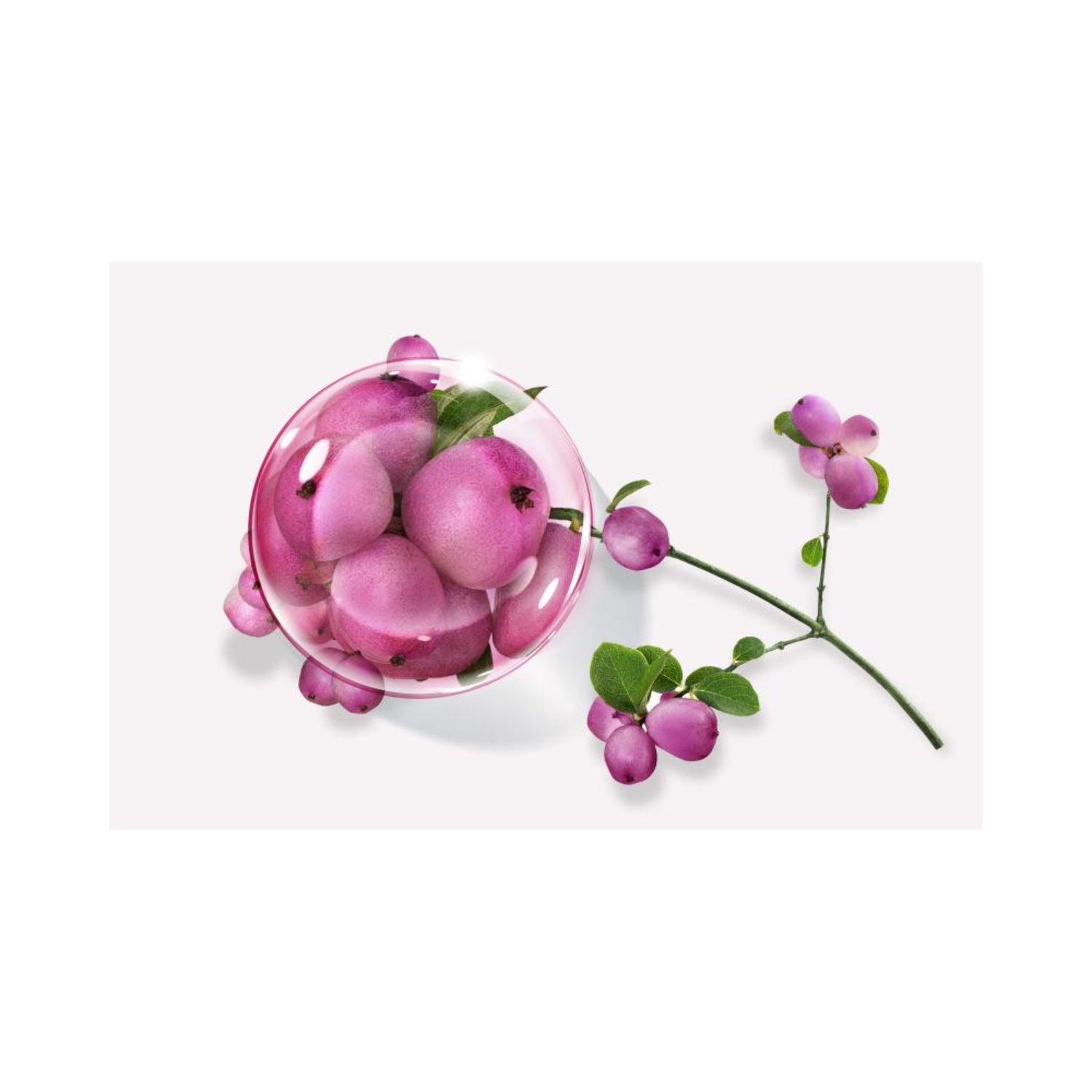 Annayake Ultratime Crème Première Anti-Âge | Crema Viso Prevenzione | 50ml 2