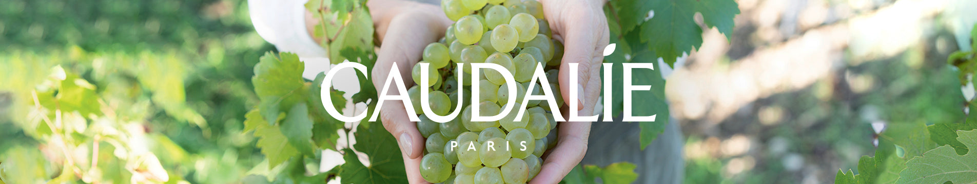 Caudalie Banner Desktop