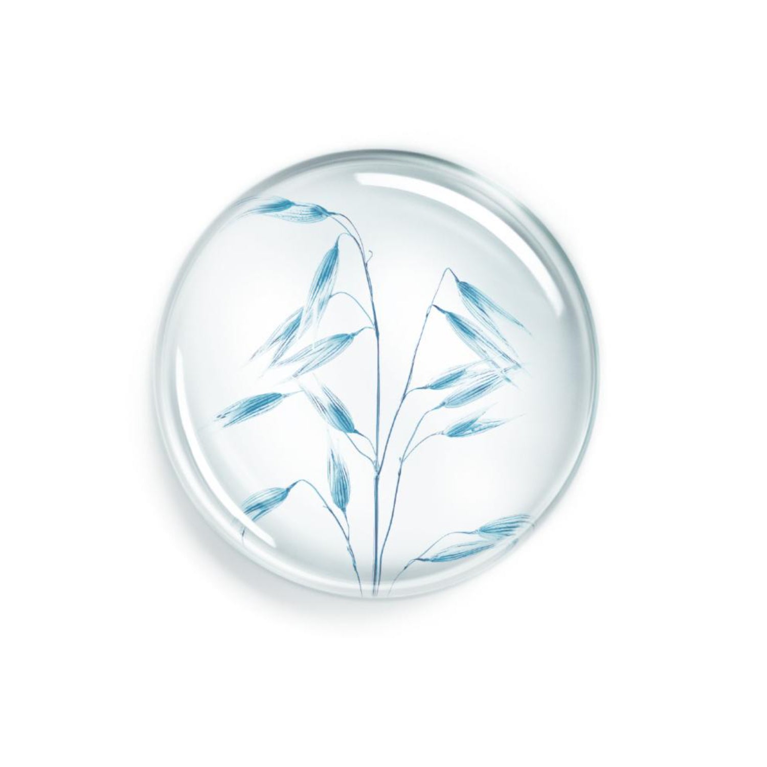 Annayake 24h Soin de Douche | Detergente Corpo Idratante Mousse | 400ml 2