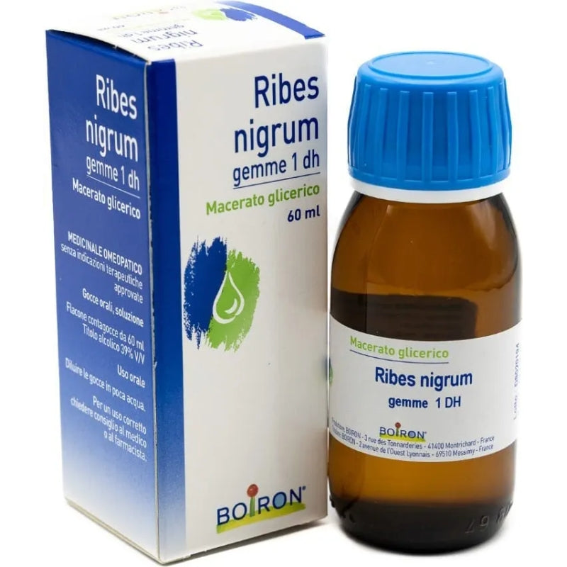 Boiron Ribes Nigrum | Macerato Glicerico Gemme 1 DH | 60ml
