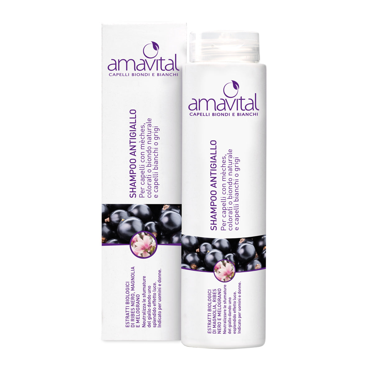 Amavital Shampoo Antigiallo | Capelli Biondi e Bianchi | 250 ml  