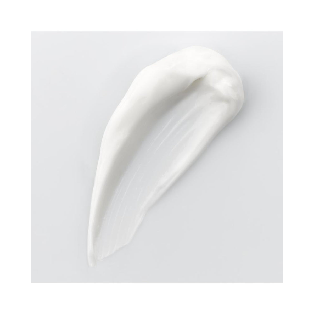 Annayake Wakame | Crema Contorno Occhi Levigante Borse Occhiaie | 15ml 2 