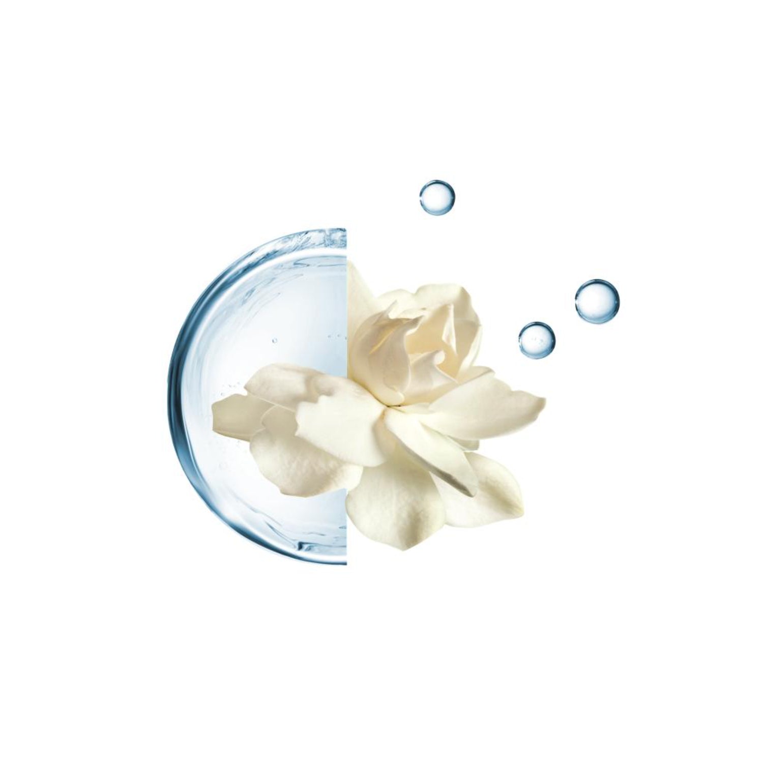 Annayake Soin Haute Hydratation | Crema Viso Idratante Anti-Macchie Pelle Normale Secca | 50ml 2