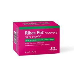 ribes pet recovery cane e gatto 60 perle 