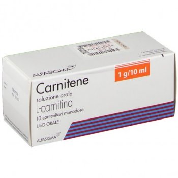 carnitene 10 flaconi orali monodose 1g 