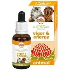 vigor & energy 30ml