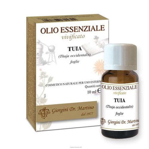 THUJA OLIO ESSENZIALE 10ML GIORGINI