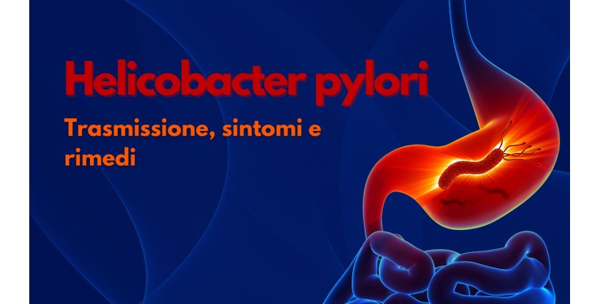 Helicobacter pylori: Scopri Tutto su Sintomi, Diagnosi e Rimedi