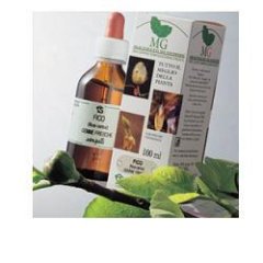 nocciolo 100ml mg