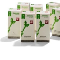 avena 100ml mg