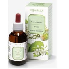 ginkgo biloba foglie ei 50ml