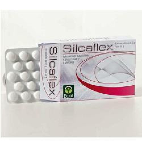 SILCAFLEX 100TAV ECOL