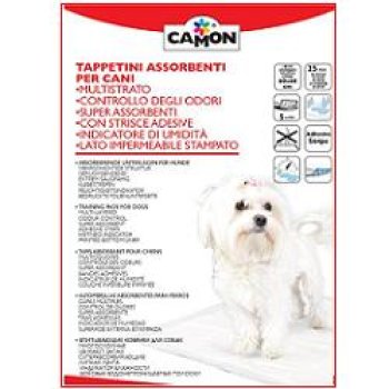 tappetino ass cani 60x60 25pz
